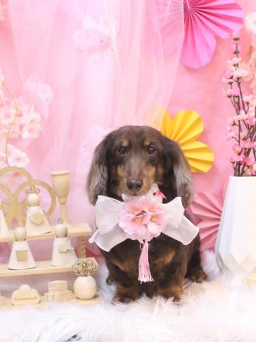 20250326ここあくん